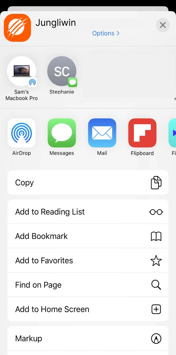 Klik op de deelknop om de Jungliwin iOS-app toe te voegen.